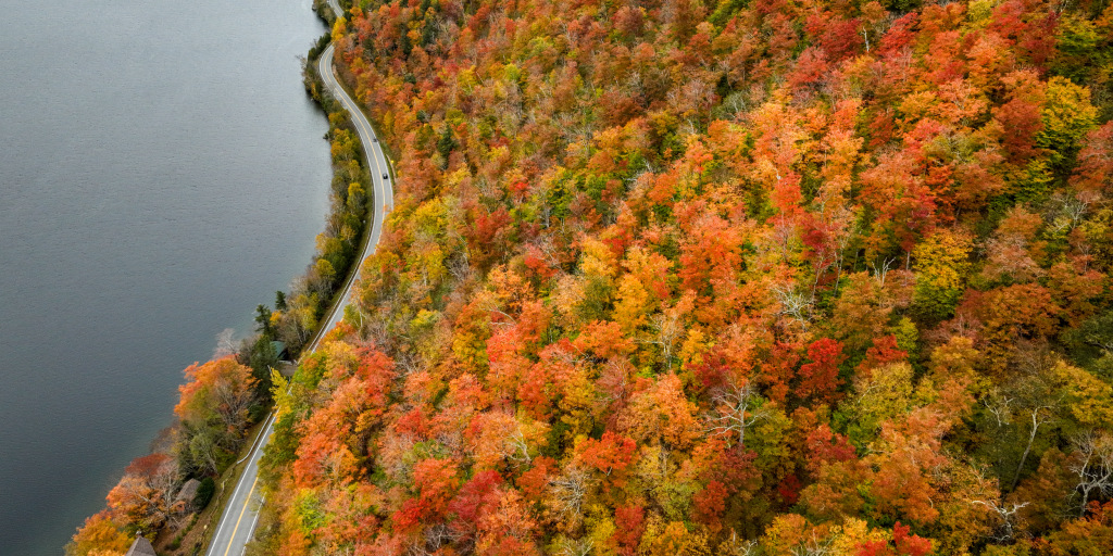 Bright, brief and early: New England's fall foliage may not last long